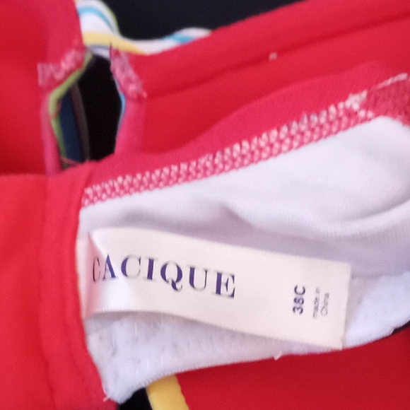 Cacique Intimates & Sleepwear Cacique 38c Plunge Push Up Underwire